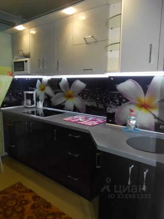 1-к кв. Мурманская область, Мурманск ул. Капитана Маклакова, 25 (31.0 ... - Фото 1