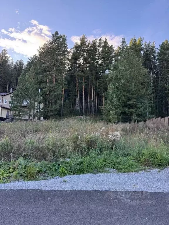 Участок в Челябинская область, Миасский городской округ, с. Сыростан ... - Фото 1