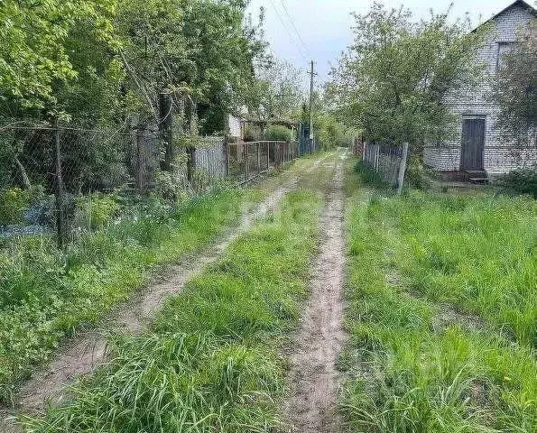 Участок в Брянская область, Брянский район, Добрунское с/пос, д. ... - Фото 0