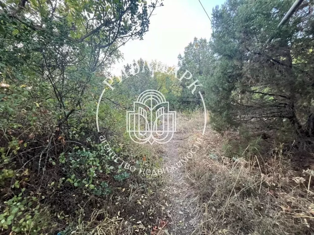 Участок в Крым, Ялта муниципальный округ, Восход пгт  (10.0 сот.) - Фото 2