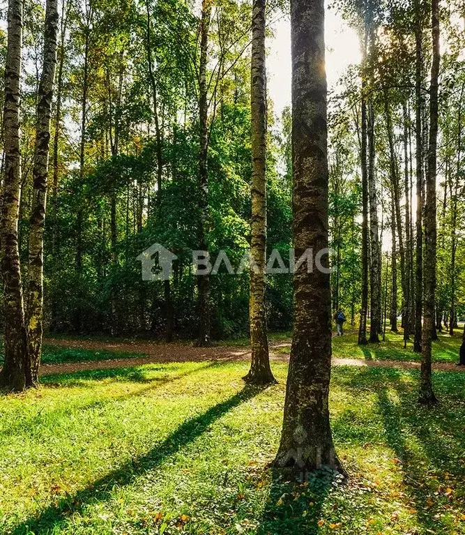 Участок в Санкт-Петербург, Санкт-Петербург, Петергоф ... - Фото 0