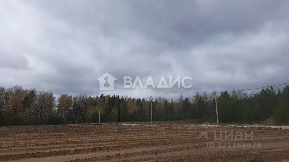 Участок в Владимирская область, Судогодский район, д. Ладога, Ладога ... - Фото 0