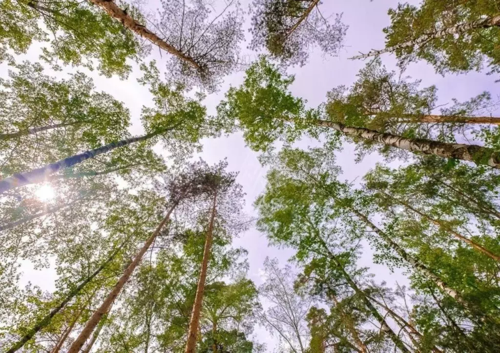 Участок в Московская область, Одинцовский городской округ, Тайм кп  ... - Фото 2