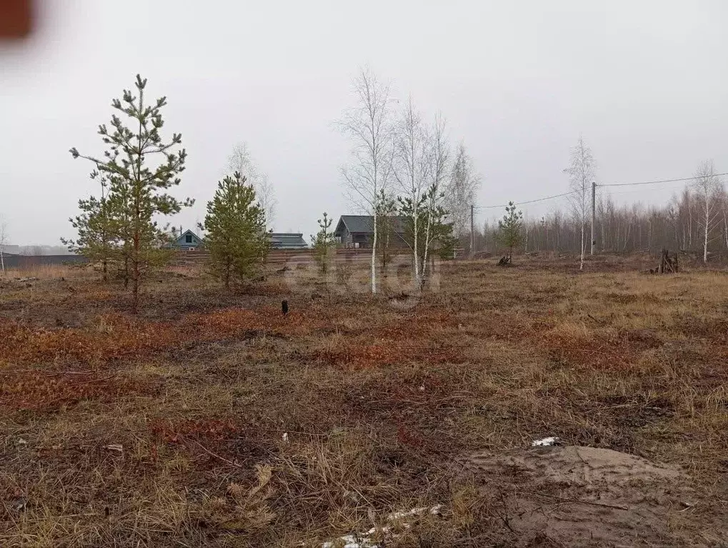 Участок в Воронежская область, Рамонский район, Новоживотинновское ... - Фото 2