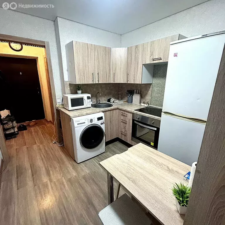 Квартира-студия: село Михайловка, Сливовая улица, 7 (23 м) - Фото 1