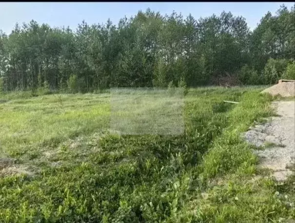 Участок в Московская область, Наро-Фоминский городской округ, Облака ... - Фото 1