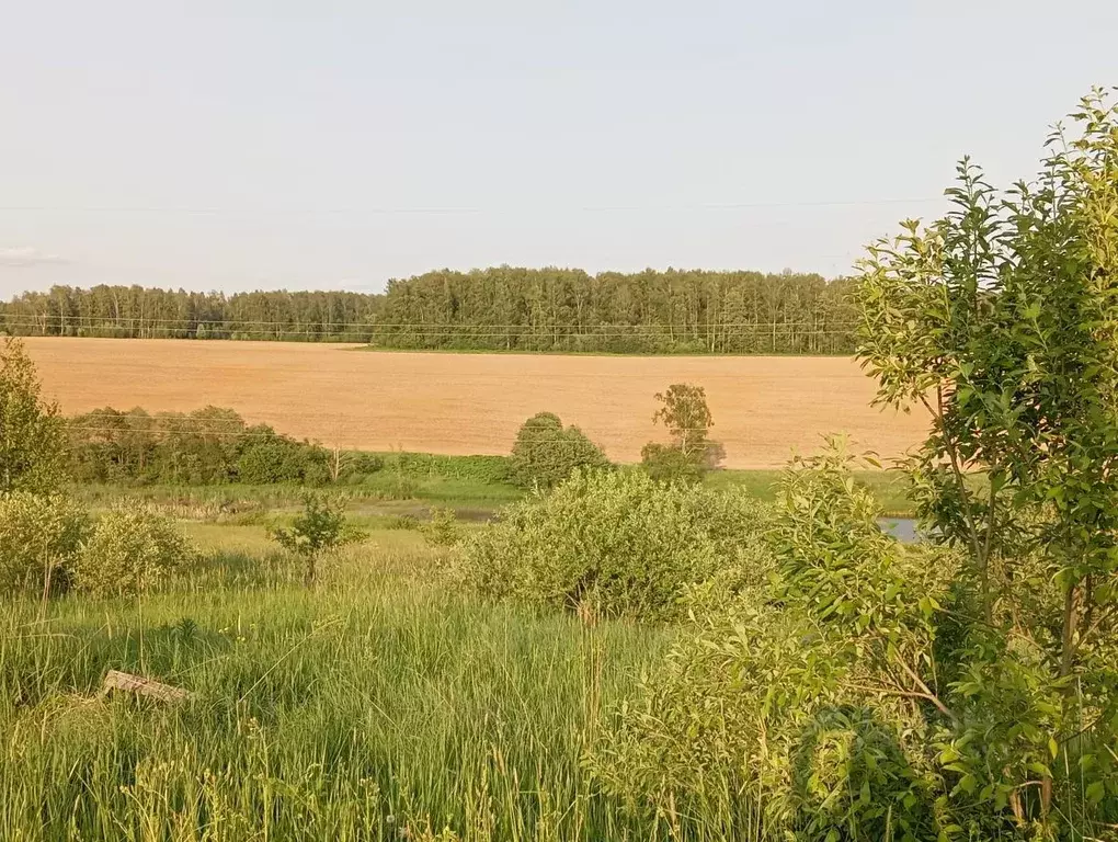 Участок в Московская область, Солнечногорск городской округ, д. ... - Фото 1