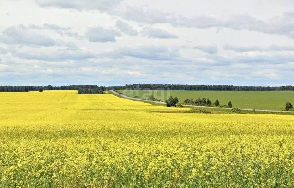 Участок в Свердловская область, Белоярский городской округ, д. ... - Фото 0