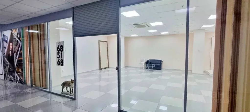 Торговая площадь в Ставропольский край, Ставрополь ул. Доваторцев, 30б ... - Фото 0