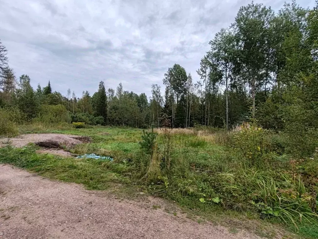 Участок в Ленинградская область, Выборг  (12.0 сот.) - Фото 1