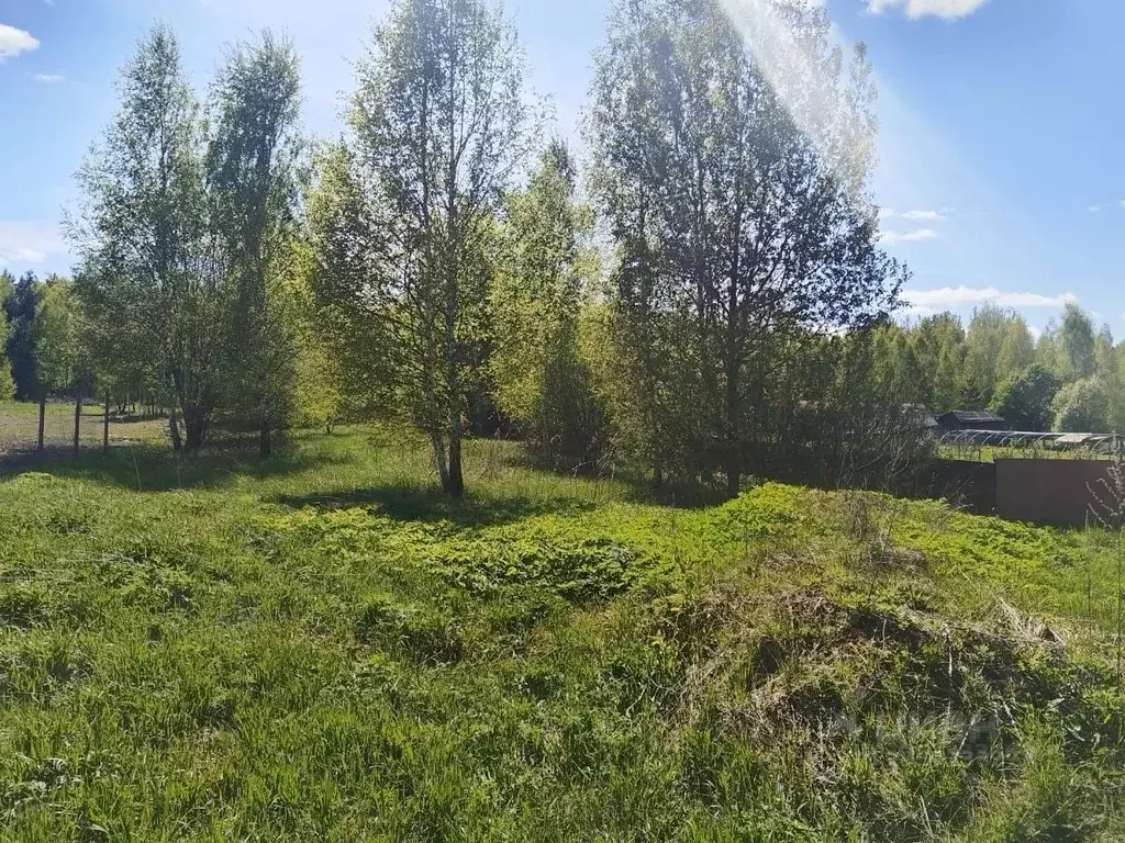 Участок в Московская область, Ступино городской округ, д. Торбеево  ... - Фото 1