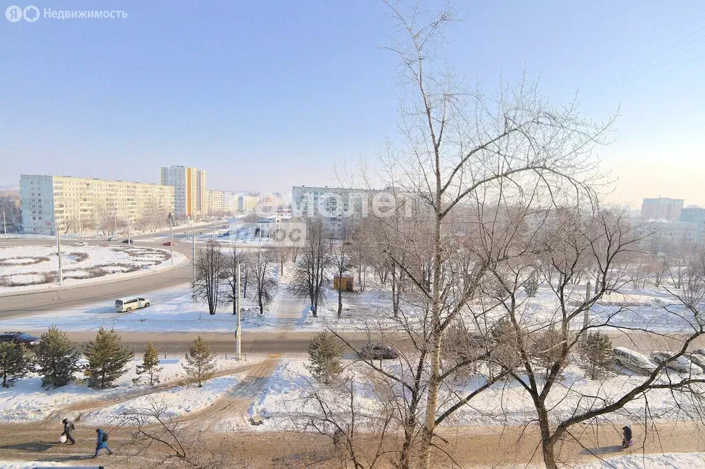 Квартира-студия: Кемерово, бульвар Строителей, 19 (22.5 м) - Фото 1