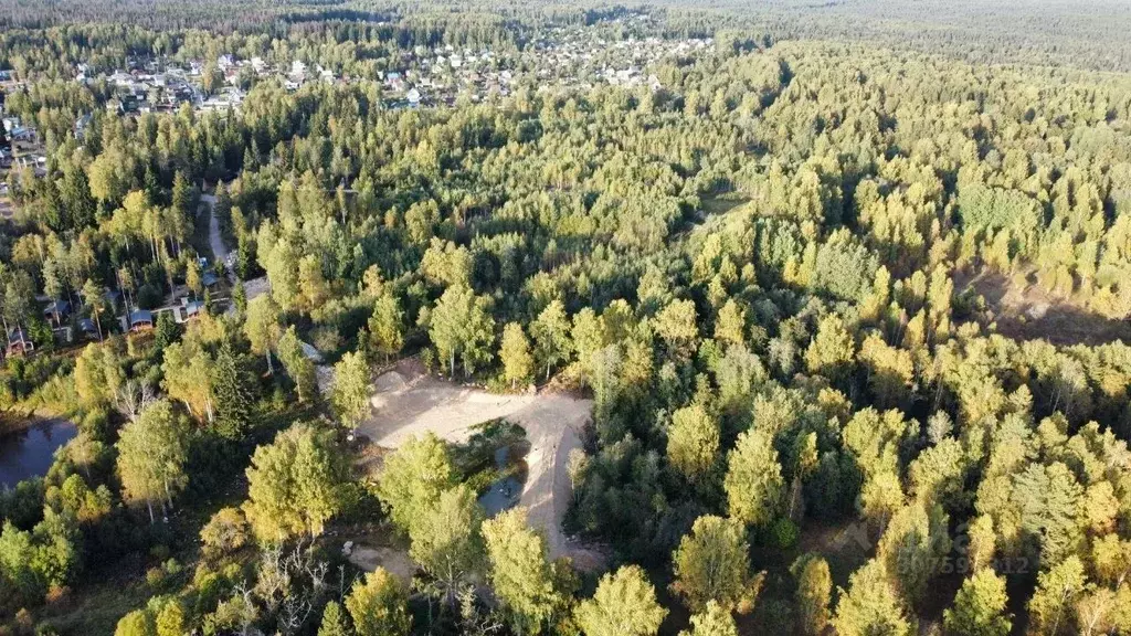 Участок в Ленинградская область, Всеволожский район, Куйвозовское ... - Фото 0