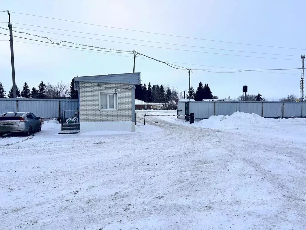 Склад в Омская область, Омский район, с. Дружино Сибирская ул., 2Б ... - Фото 1