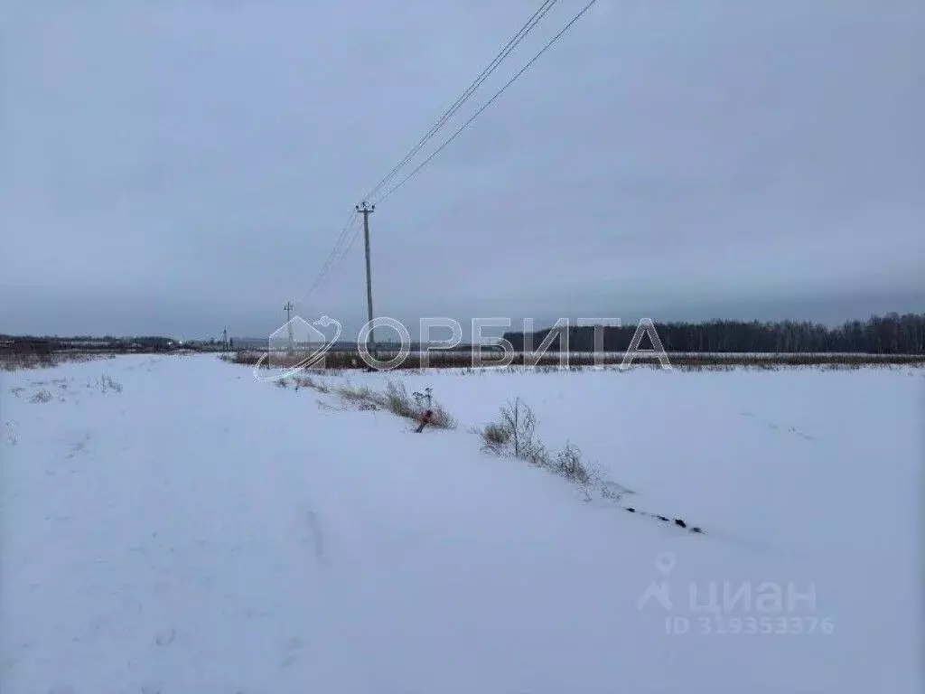 Участок в Тюменская область, Тюменский район, с. Горьковка Сибирская ... - Фото 1