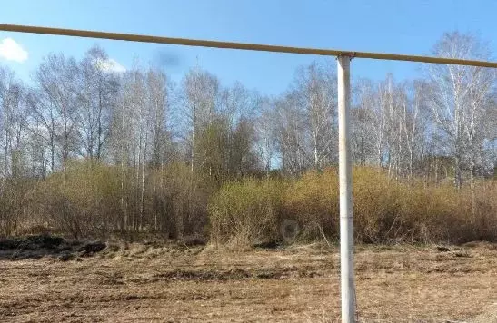 Участок в Кемеровская область, Кемеровский район, с. Мазурово ... - Фото 2