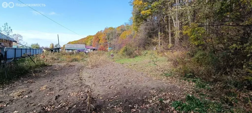 Участок в Арсеньев, СНТ Ягодка-1 (8.8 м) - Фото 1