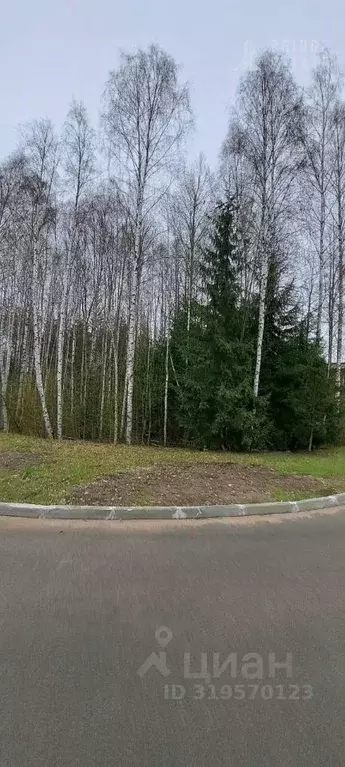 1-к кв. Ленинградская область, Всеволожский район, Бугровское ... - Фото 1