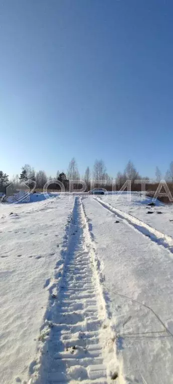 Участок в Тюменская область, Тюмень Поле Чудес садовое товарищество, ... - Фото 1