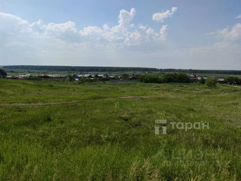 участок в челябинская область, чебаркульский район, шахматовское . - Фото 1