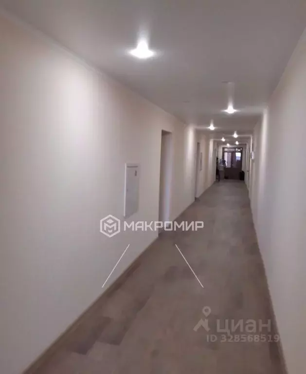 Офис в Орловская область, Орел ул. Лескова, 19 (103 м) - Фото 1