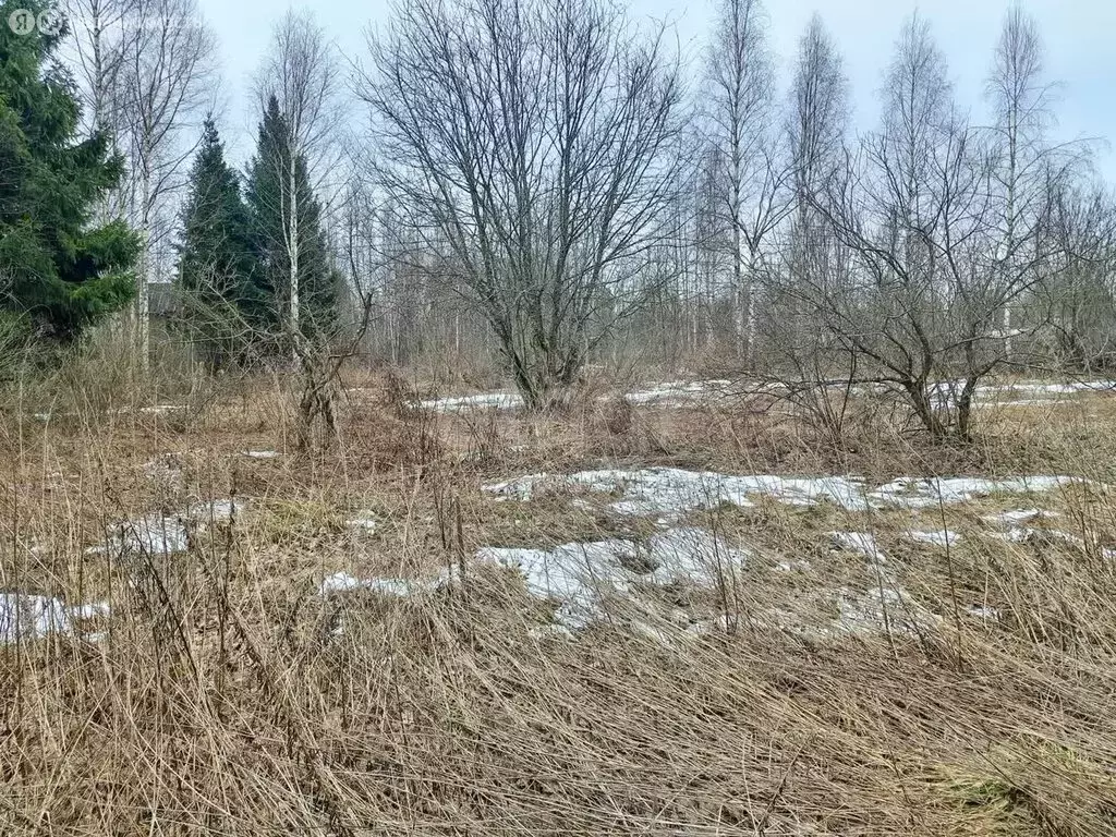 Участок в Череповецкий район, муниципальное образование Югское, ... - Фото 0