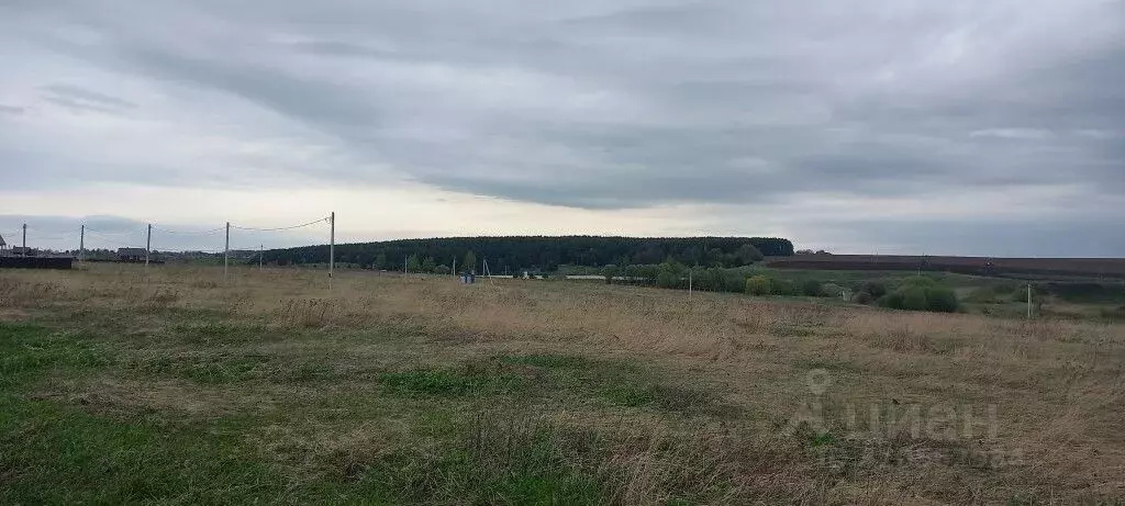 Участок в Владимирская область, Суздальский район, Павловское ... - Фото 0