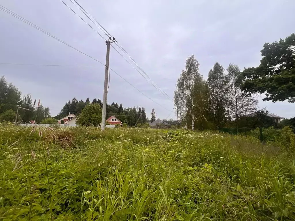 Участок в Ленинградская область, Выборгский район, Первомайское с/пос, ... - Фото 1