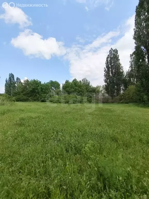 Участок в Зыбины, Цветочная улица (24 м) - Фото 1