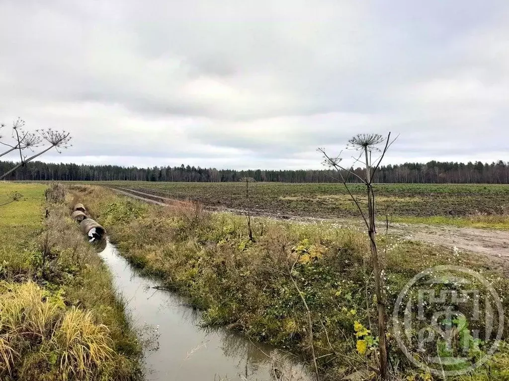 Участок в Ленинградская область, Выборгский район, Полянское с/пос, ... - Фото 2
