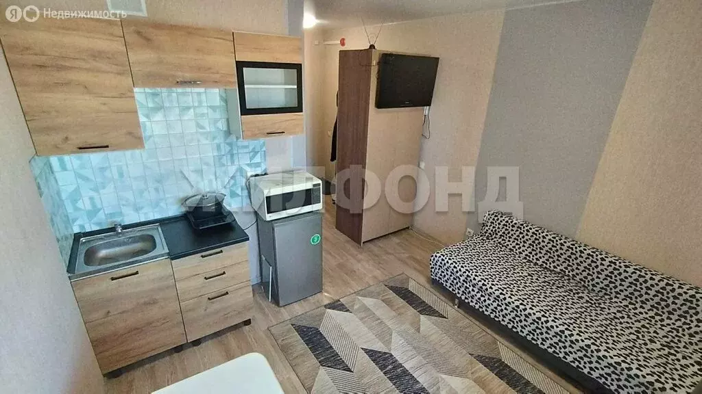 Квартира-студия: Новосибирск, улица Титова, 255/1 (17.9 м) - Фото 2