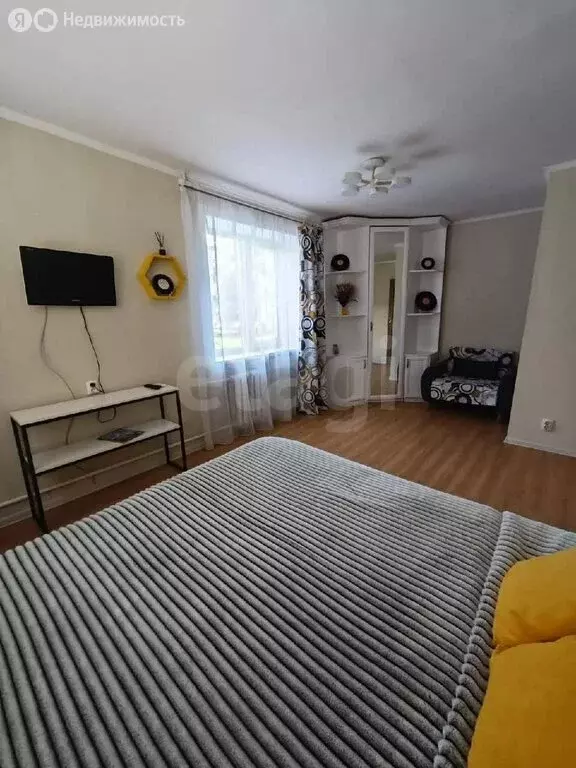 1-комнатная квартира: Калининград, Красноармейская улица, 19 (31.2 м) - Фото 1