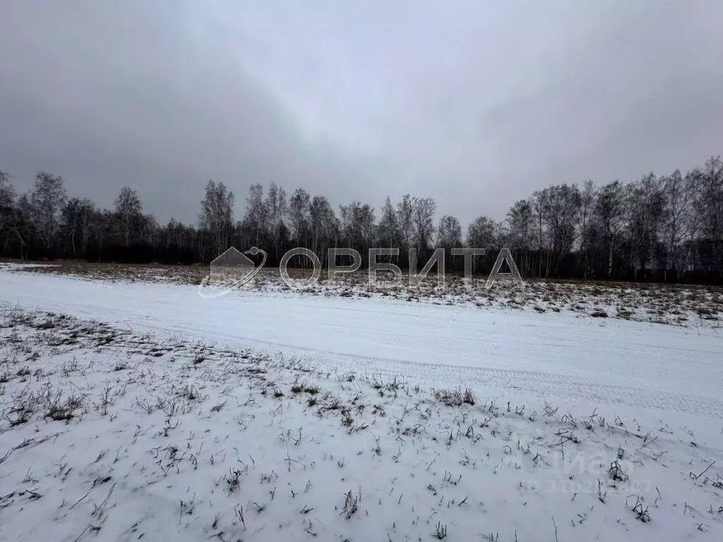 Участок в Тюменская область, Тюмень ул. Ленина (200.0 сот.) - Фото 0