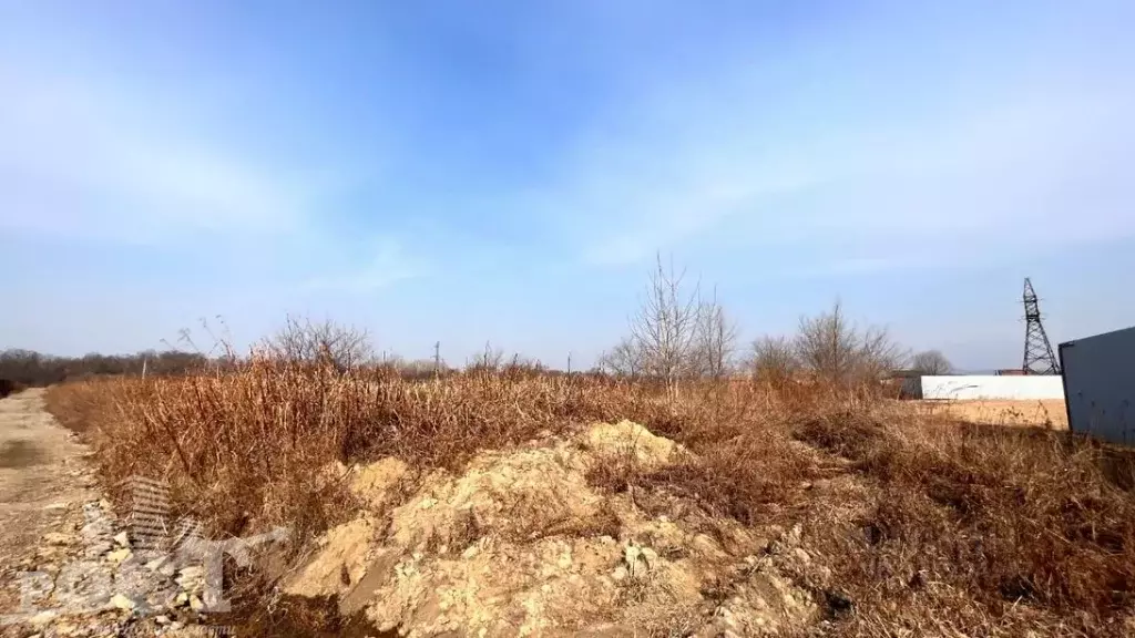 Участок в Приморский край, Артемовский городской округ, с. Кневичи ... - Фото 1