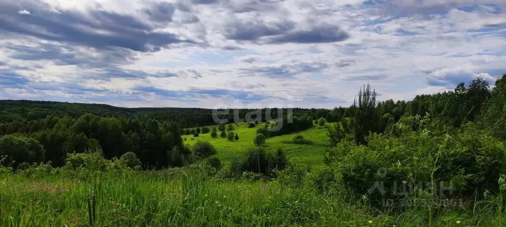 Участок в Коми, Сыктывдинский район, Ыб муниципальное образование, д. ... - Фото 0