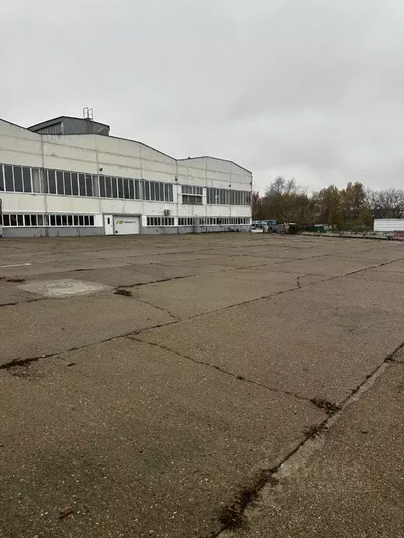 Помещение свободного назначения в Москва Рябиновая ул., 40С2 (500 м) - Фото 2