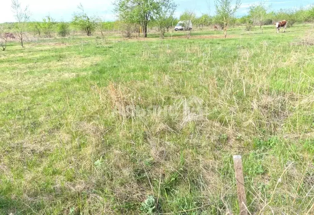 Участок в Ростовская область, Шахты ул. Семейная (6.0 сот.) - Фото 1