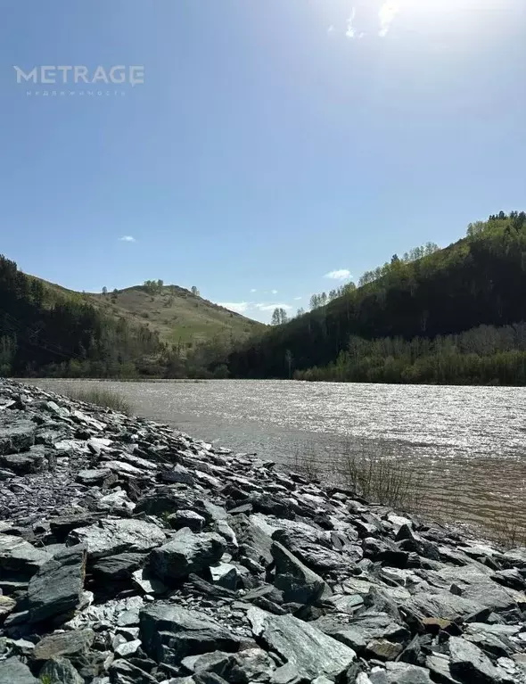 Участок в Алтайский край, Чарышский район, с. Чарышское  (23727.0 ... - Фото 0