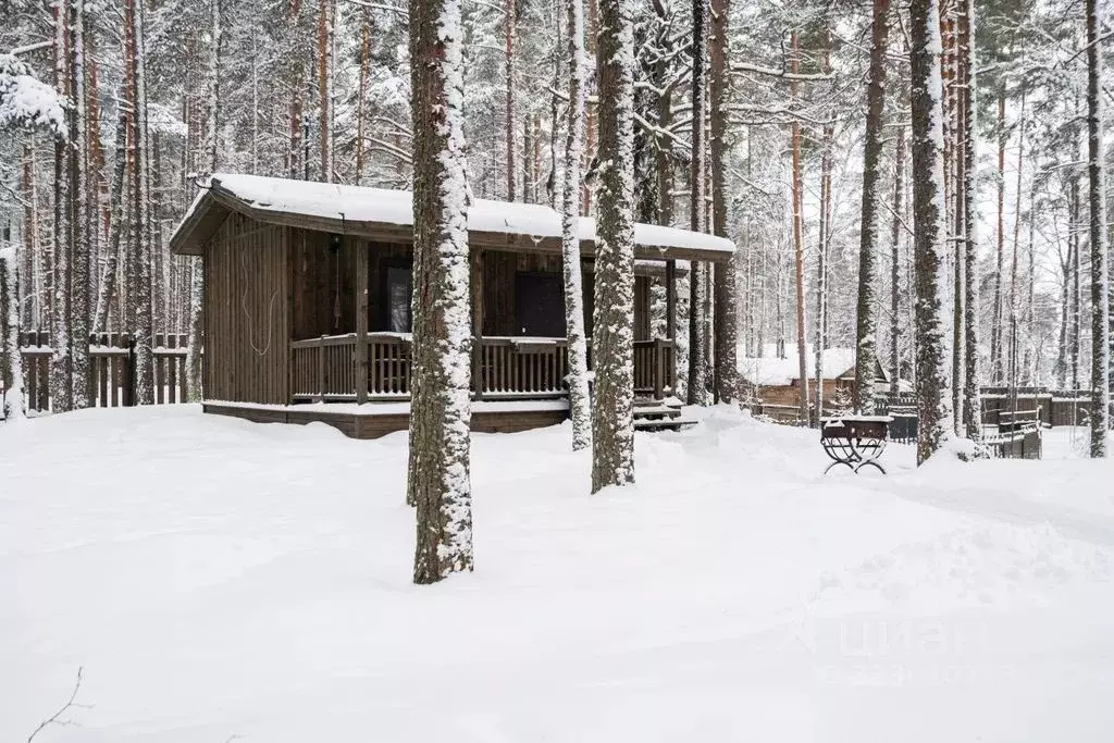 Дом в Ленинградская область, Ломоносовский район, Лебяженское ... - Фото 1