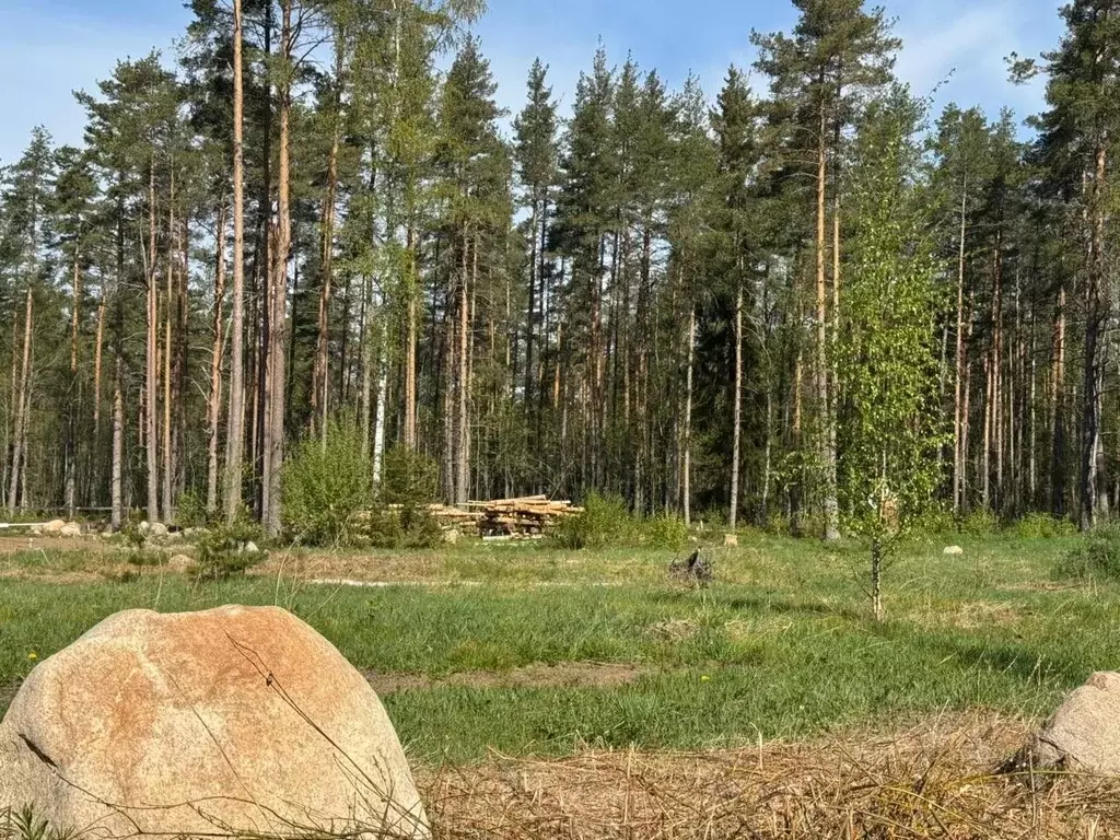 Участок в Ленинградская область, Выборгский район, Полянское с/пос, ... - Фото 1