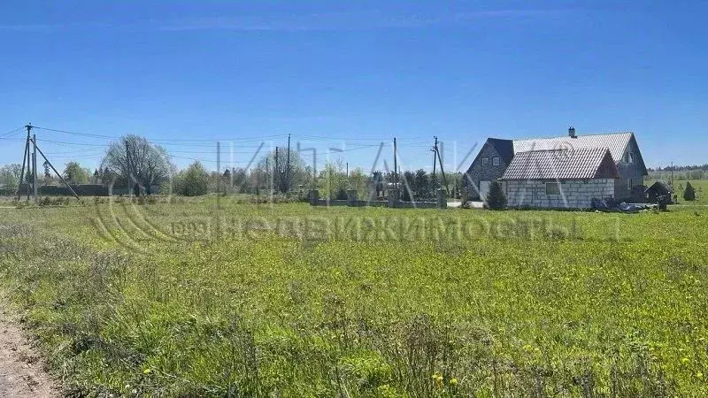 Участок в Ленинградская область, Волосовский район, Большеврудское ... - Фото 2