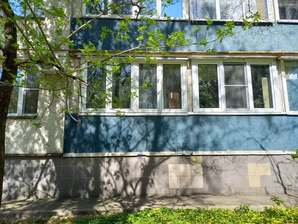 2-к кв. Москва 66-й Кунцева кв-л,  (45.7 м) - Фото 1