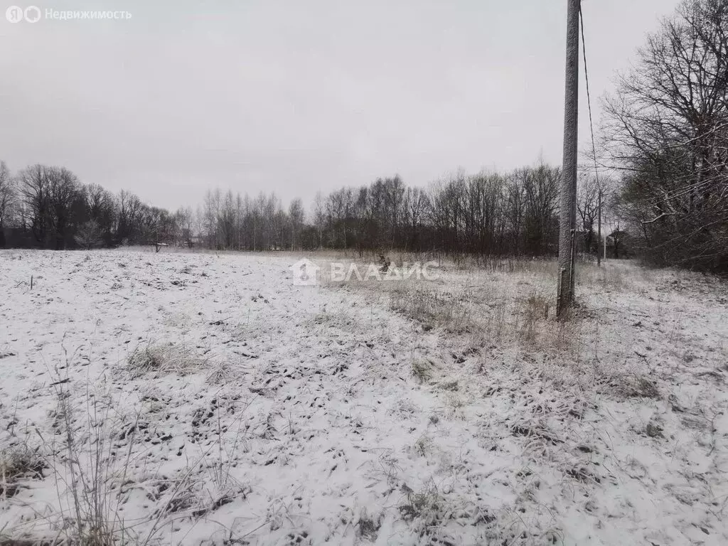 Участок в Суздальский район, село Новоалександрово (50 м) - Фото 1