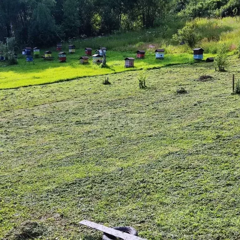 Участок в Алтай, Чойский район, Паспаульское с/пос, с. Сугул  (60.0 ... - Фото 1