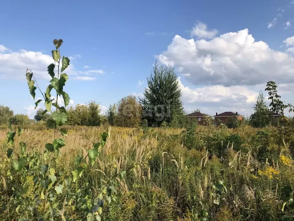 Участок в Нижегородская область, Кстовский муниципальный округ, д. ... - Фото 0