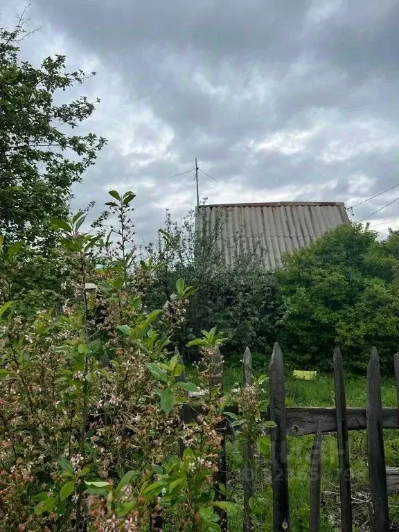 Участок в Оренбургская область, Оренбургский район, Нежинский ... - Фото 2