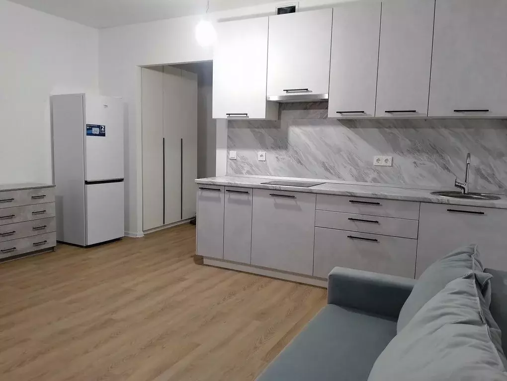 Студия Ленинградская область, Всеволожский район, Заневское городское ... - Фото 1