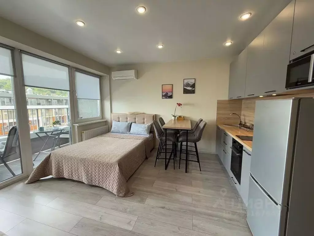 Студия Краснодарский край, Сочи городской округ, Дагомыс пгт ул. ... - Фото 2