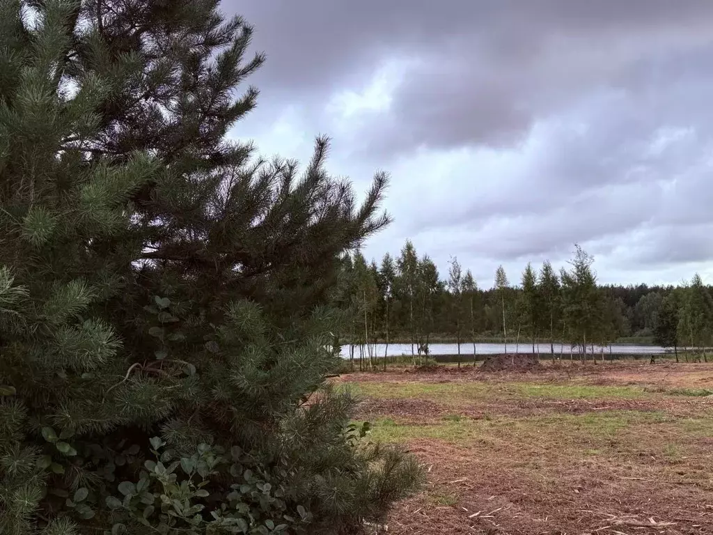 Участок в Московская область, Егорьевск муниципальный округ, д. ... - Фото 1