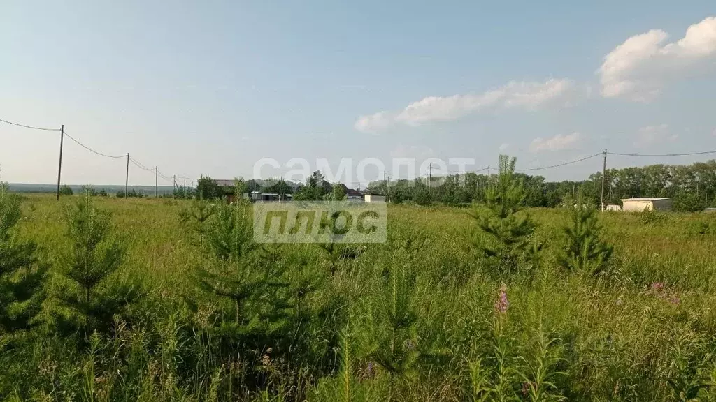 Участок в Свердловская область, Белоярский муниципальный округ  (10.0 ... - Фото 1